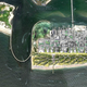 Illustration for article titled 5 Radical Ideas To Protect Coastal Cities From the Next Big Storm